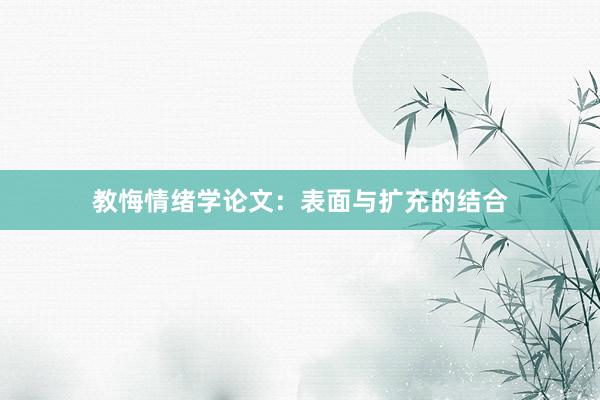 教悔情绪学论文：表面与扩充的结合