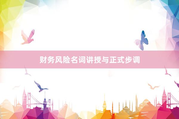 财务风险名词讲授与正式步调